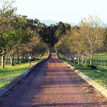 Blueberry Hill Vineyard Stay Rothbury Extérieur photo
