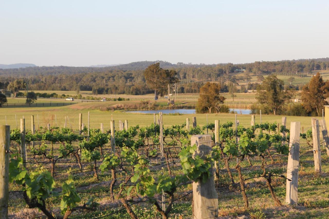 Blueberry Hill Vineyard Stay Rothbury Extérieur photo