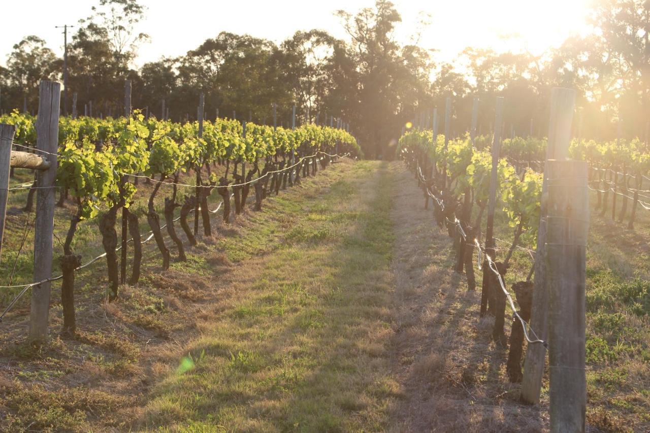 Blueberry Hill Vineyard Stay Rothbury Extérieur photo