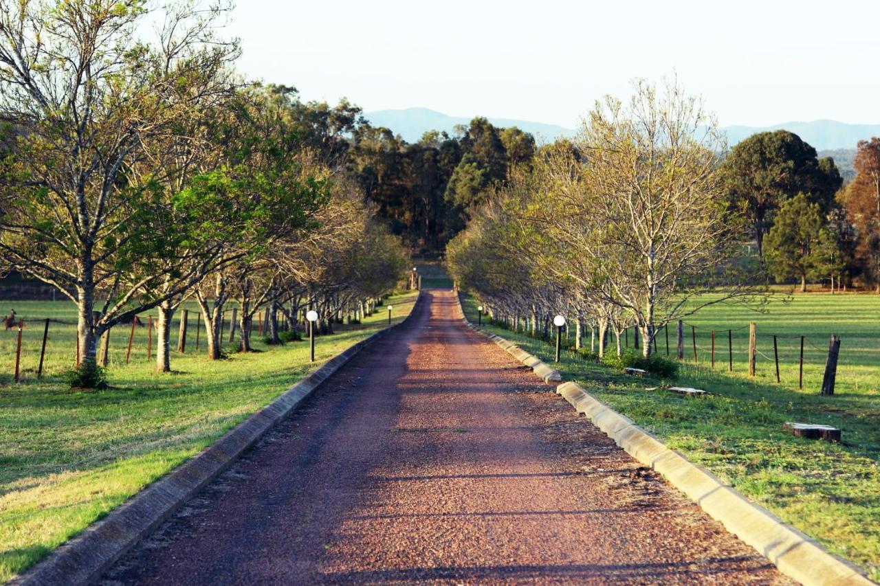 Blueberry Hill Vineyard Stay Rothbury Extérieur photo