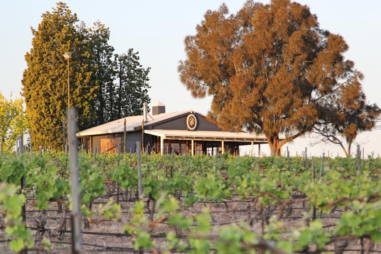 Blueberry Hill Vineyard Stay Rothbury Extérieur photo