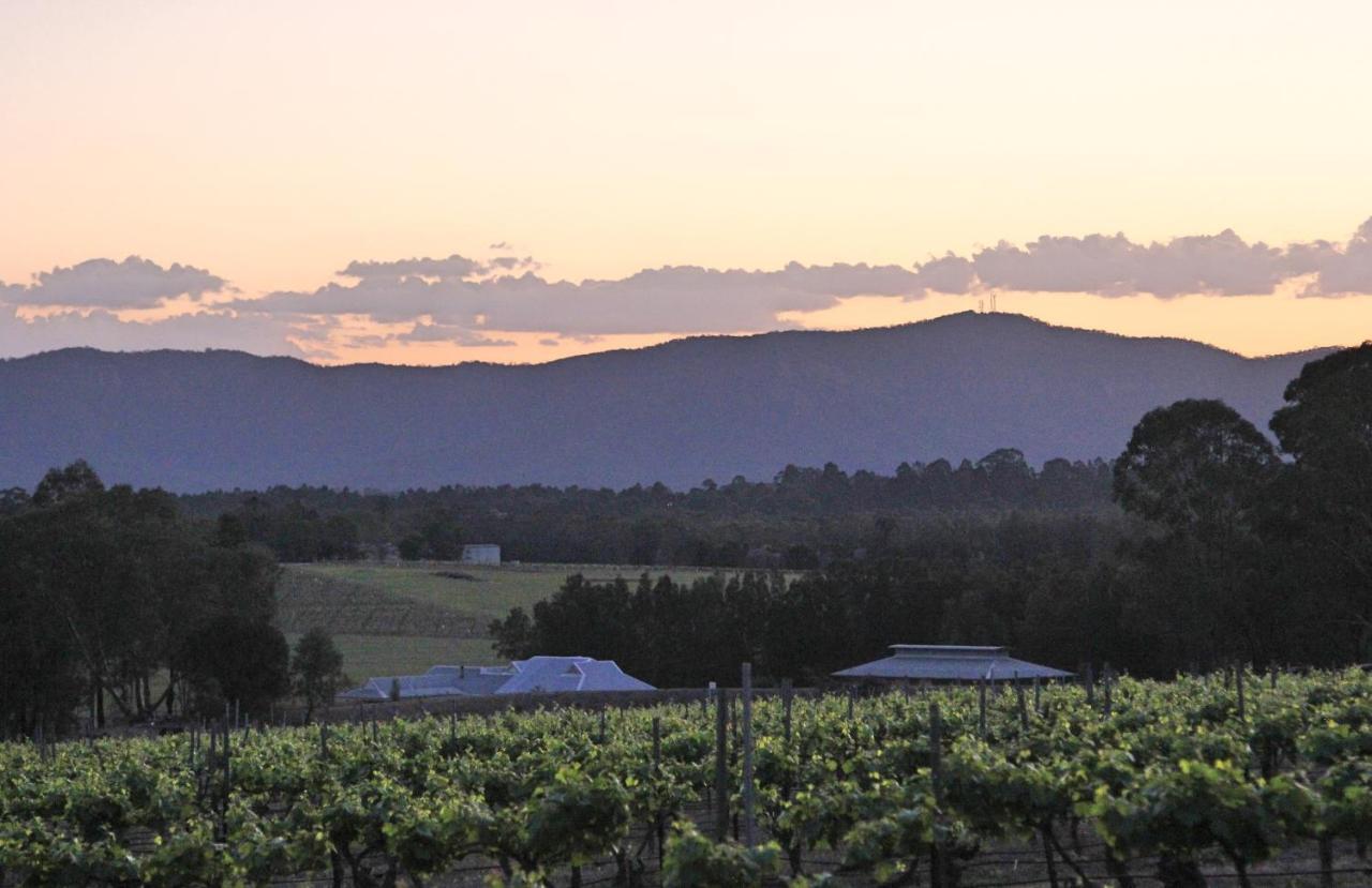 Blueberry Hill Vineyard Stay Rothbury Extérieur photo