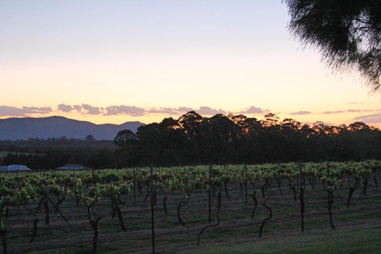 Blueberry Hill Vineyard Stay Rothbury Extérieur photo