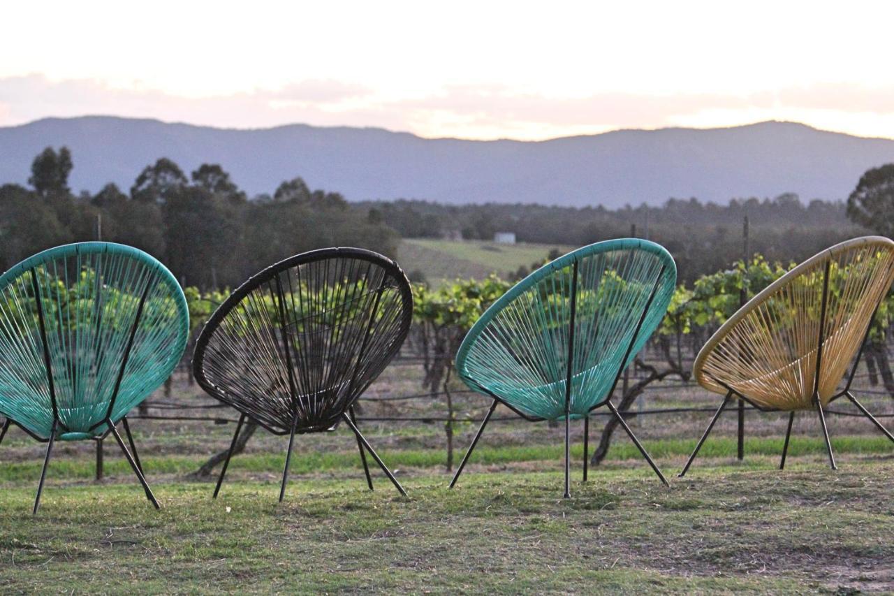 Blueberry Hill Vineyard Stay Rothbury Extérieur photo